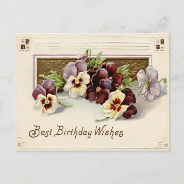 Carte Postale Pensée Pensées Violet Blanc (Devant)