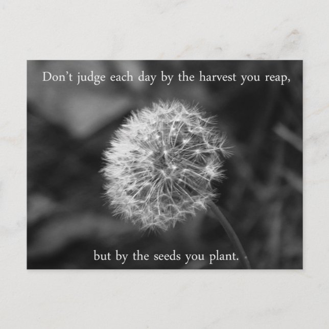 Carte Postale Pensée positive Dire avec Dandelion (Devant)