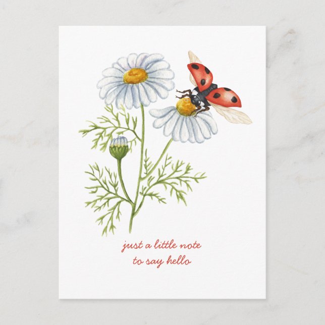 Carte Postale Pensées pour vous Marguerites et coccinelle (Devant)