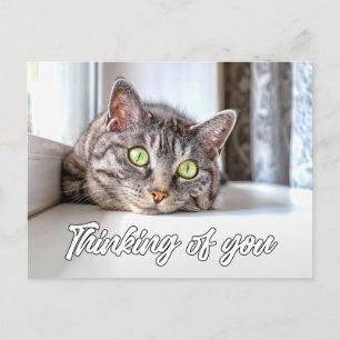 Carte Postale Penser À Vous - Adorable Chat Kitty