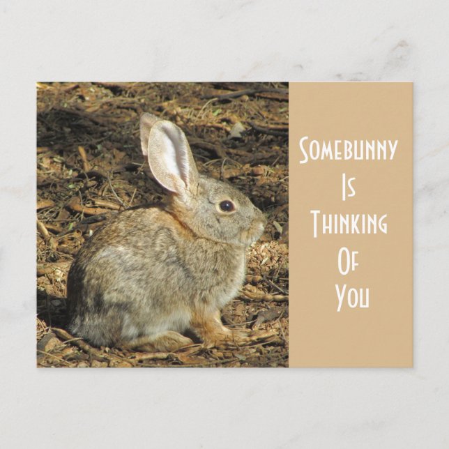 Carte Postale Penser À Vous Adorable Lapin Brown Sauvage (Devant)