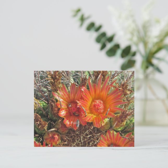 Carte Postale Penser à vous Bright Orange Cactus Flower Photo (Debout devant)