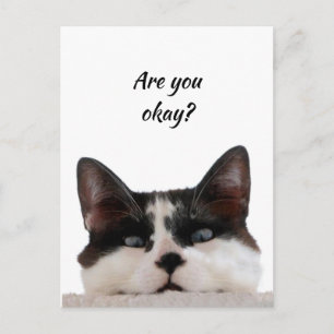 Carte Postale Penser à vous Chat drôle Dites-moi que vous allez