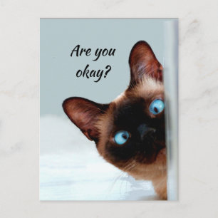 Carte Postale Penser à vous Chat drôle Dites-moi que vous allez