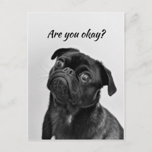 Carte Postale Penser à vous chien drôle Dites-moi que vous allez
