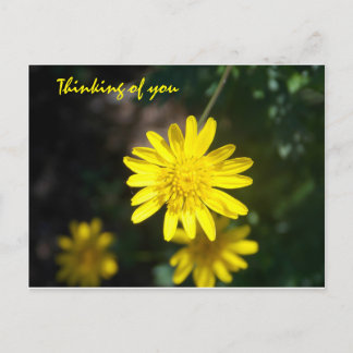 Carte Postale Penser à vous - Jaune Daisy