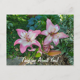 Carte Postale Penser À Vous Jolies Lys Roses