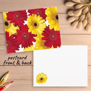 Carte Postale Penser à vous les marguerites de Gerber rouge et j
