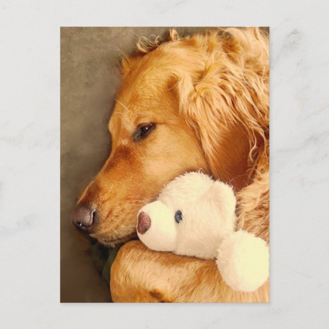 Carte Postale Penser à vous mignon Golden Retriever chien animal (Devant)