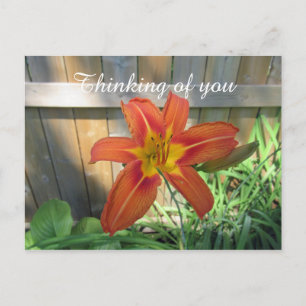 Carte Postale Penser à vous Orange Lily photo florale