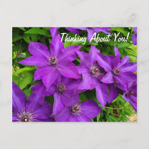 Carte Postale Penser À Vous Purple Clematis Floral