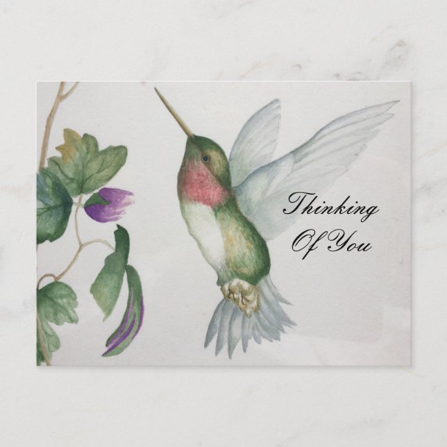 Carte Postale Pensez À Vous Sweet Hummingbird Garden (Devant)