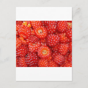 CARTE POSTALE PENSEZ RASPBERRY !