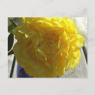 Carte Postale Peonies jaunes