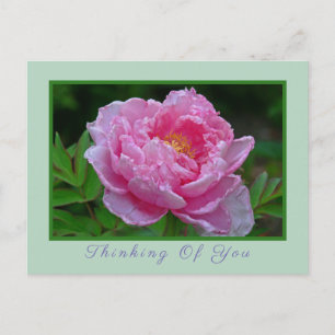 CARTE POSTALE, "PEONK PEONKING/THINKING OF YOU" CA