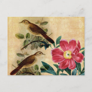 Carte Postale Peony avec Nightingales