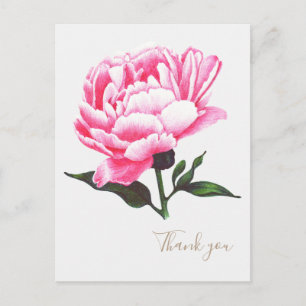 Carte postale Peony Flower Illustration Stylo Dess