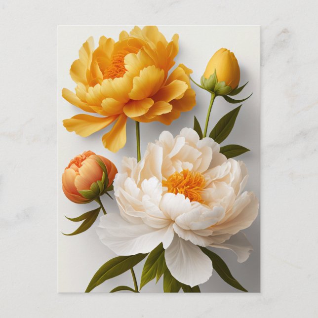 Carte postale Peony Flowers (Devant)