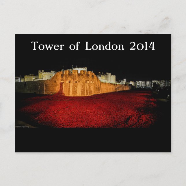 Carte Postale Pépites à la Tour de Londres - Night Panorama (Devant)