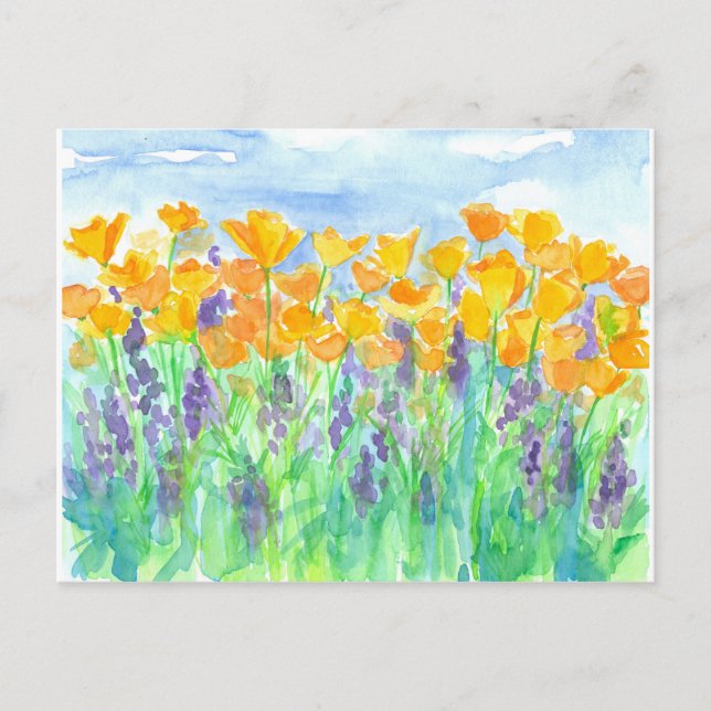 Carte Postale Pépites de Californie Peinture aquarelle (Devant)