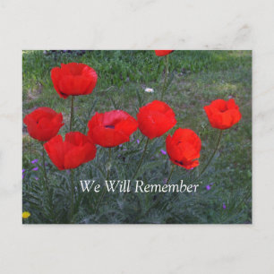 Carte Postale Pépites rouges