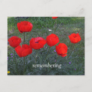 Carte Postale Pépites rouges