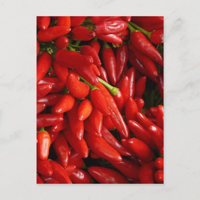 Carte Postale Peppers chili (Devant)