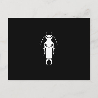 Carte Postale Perce-oreille