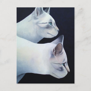 Carte postale Percival & Lancelot