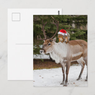 Carte Postale Père Noël adorable écureuil et le Noël des rennes