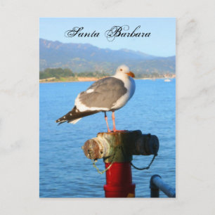 Carte Postale père Noël Barbara Seagull