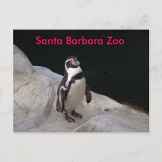 Carte Postale père Noël Barbara Zoo