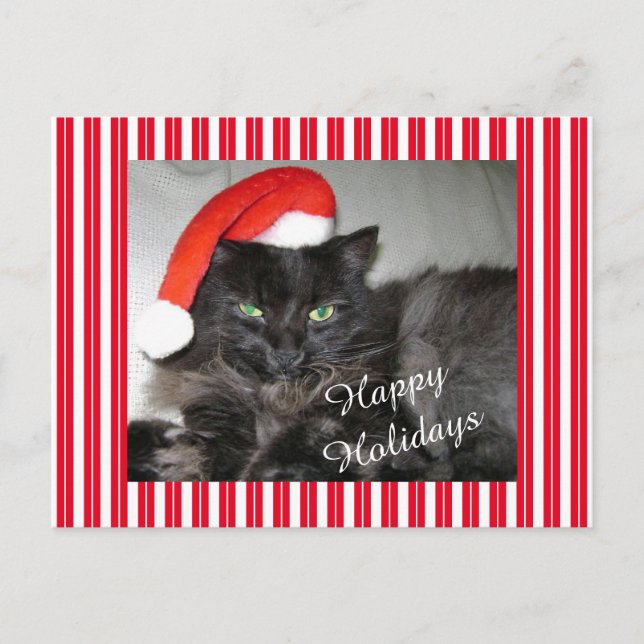Carte postale père Noël Cat Strited Christmas (Devant)