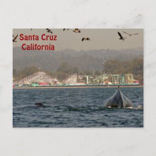 Carte postale père Noël Cruz, Californie