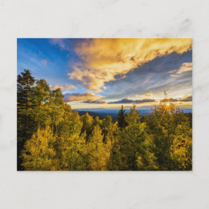 Carte Postale Père Noël Fe Forêt nationale au coucher du soleil 
