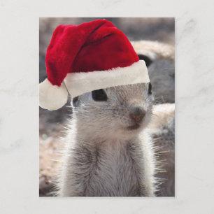 Carte postale père Noël Squirrel