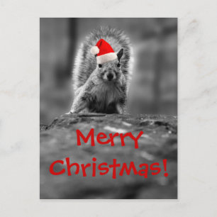 Carte postale père Noël Squirrel Joyeux Noël