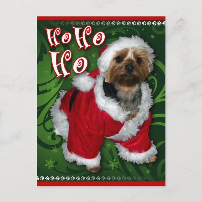 Carte postale père Noël Yorkie (Devant)