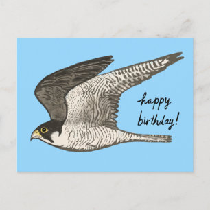 Carte Postale Peregrine Faucon coloré crayon HEUREUX ANNIVERSAIR