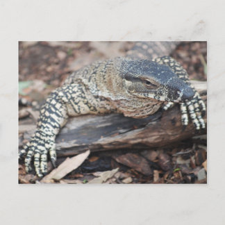 Carte Postale Perenti