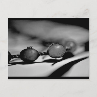 Carte Postale Perles