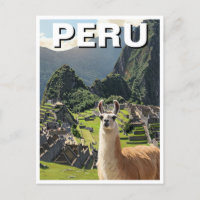 Pérou Llama
