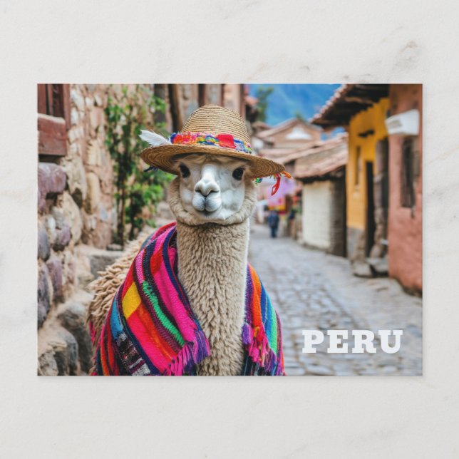 Carte Postale Pérou Llama (Devant)