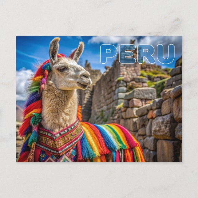 Carte Postale Pérou Llama (Devant)