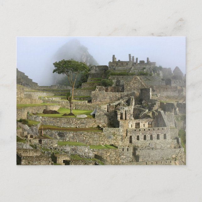 Carte Postale Pérou, Machu Picchu. L'ancienne citadelle de (Devant)