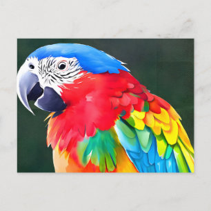 Carte Postale Perroquet coloré