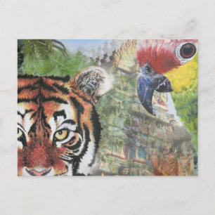 Carte postale Perroquet et tigre