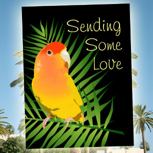 Carte Postale Perroquet Jaune Vif Amoureux Oiseaux Amoureux