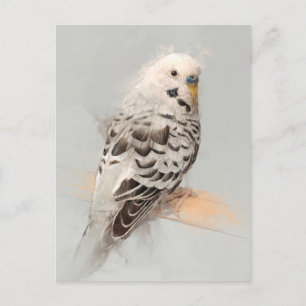 Carte postale Perroquet n°11