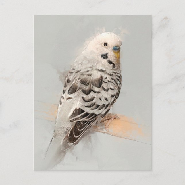 Carte postale Perroquet n°11 (Devant)